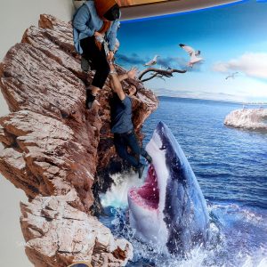 3D anamorphic graphic - shark valley