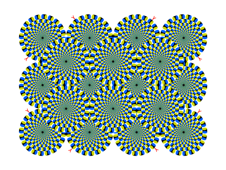 Motion Perception