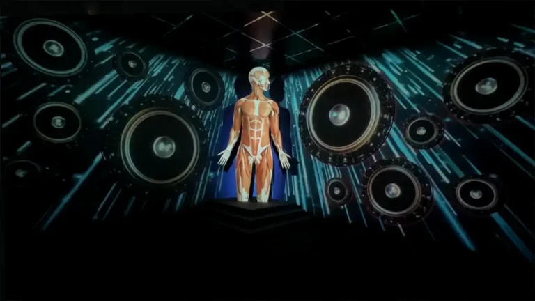 3D Projection Mapping in human park